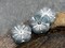 *2* 21mm Silver Washed Etched Teal Blue Hibiscus Flower Beads